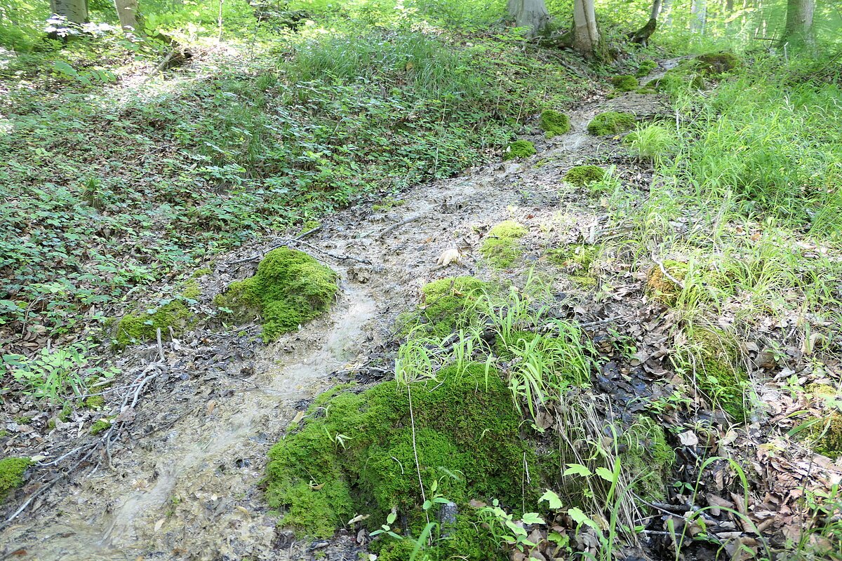 Steinerne Rinne südöstlich von Spielberg Geopark Ries