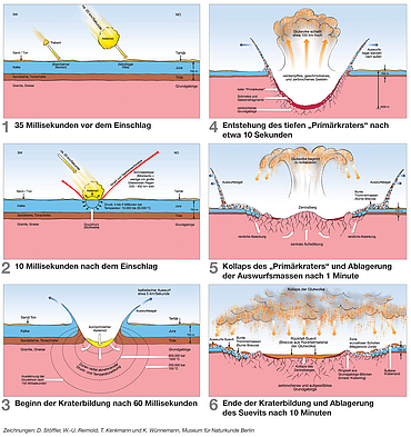 The formation of the Ries Crater explained in six phases