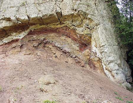 Suevite in contact with Bunte Breccia in the Aumühle quarry near Oettingen