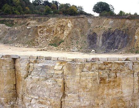 Bunte Breccia and Upper Jurassic limestone (Malmian) in Gundelsheim quarry