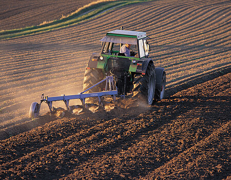 Agriculture in the Ries is concentrated in grains, corn, sugar beets and potatoes.