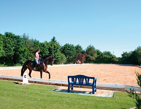 Use of sand from the Ries in a riding facility