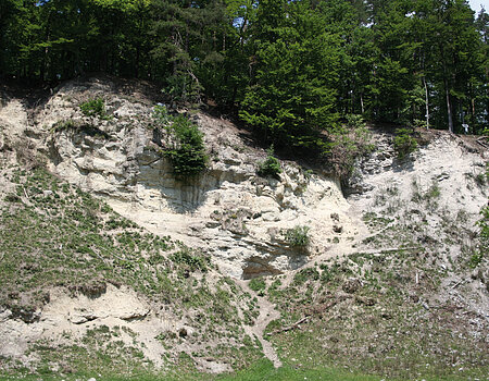 Der Suevitsteinbruch Altenbürg