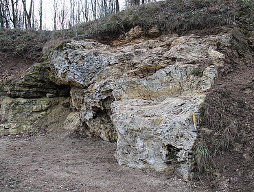 Aufschluss Hahnenberg, Maihingen