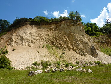 Aufschlusswand am Lehrpfad des Erlebnis-Geotopes Lindle bei Nördlingen