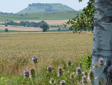 Radweg von Krater zu Krater, Blick zum Ipf