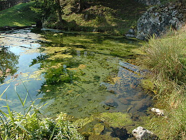 Brünsee bei Harburg, Karstquelle