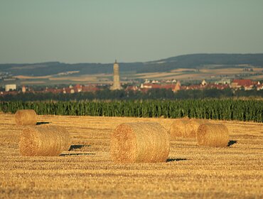 Daniel (church tower in Nördlingen) from afar