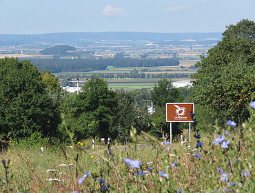 From Wemding, view over the crater