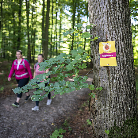 Sagenweg_Foto Stadt Wemding